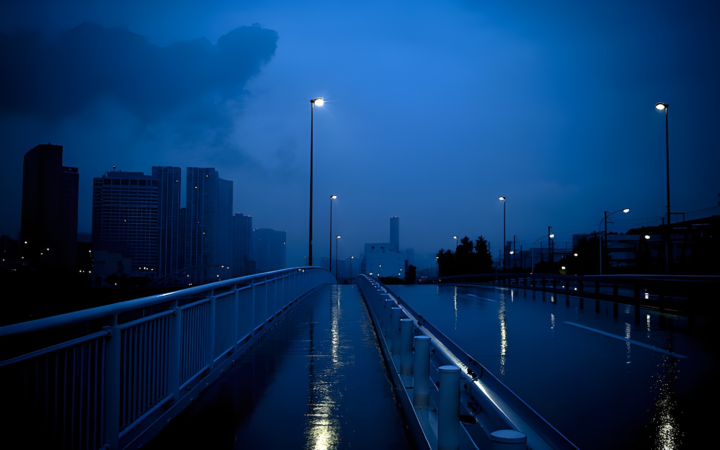 Street in the Rain